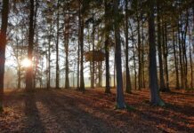 Самые необычные отели Чехии