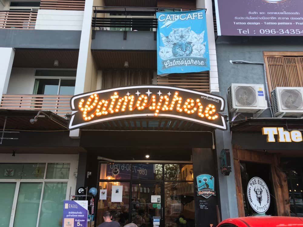 Котокафе Сatmosphere в Чиангмае