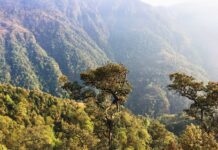 Треккинг к Эвересту, день 1 и 2. Катманду – Джири – Бандар Трек к базовому лагерю Эвереста