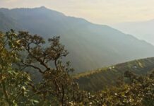 Треккинг к Эвересту, день 3. Бандар — Сатэ Треккинг к базовому лагерю Эвереста