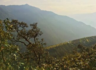 Треккинг к Эвересту, день 3. Бандар — Сатэ Треккинг к базовому лагерю Эвереста