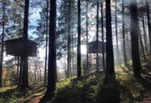 ТОП-10 необычных и интересных отелей в Барселоне Лучшие необычные бутик-отели в Барселоне